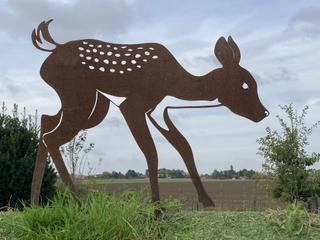 AC45 - Faon tête baissée